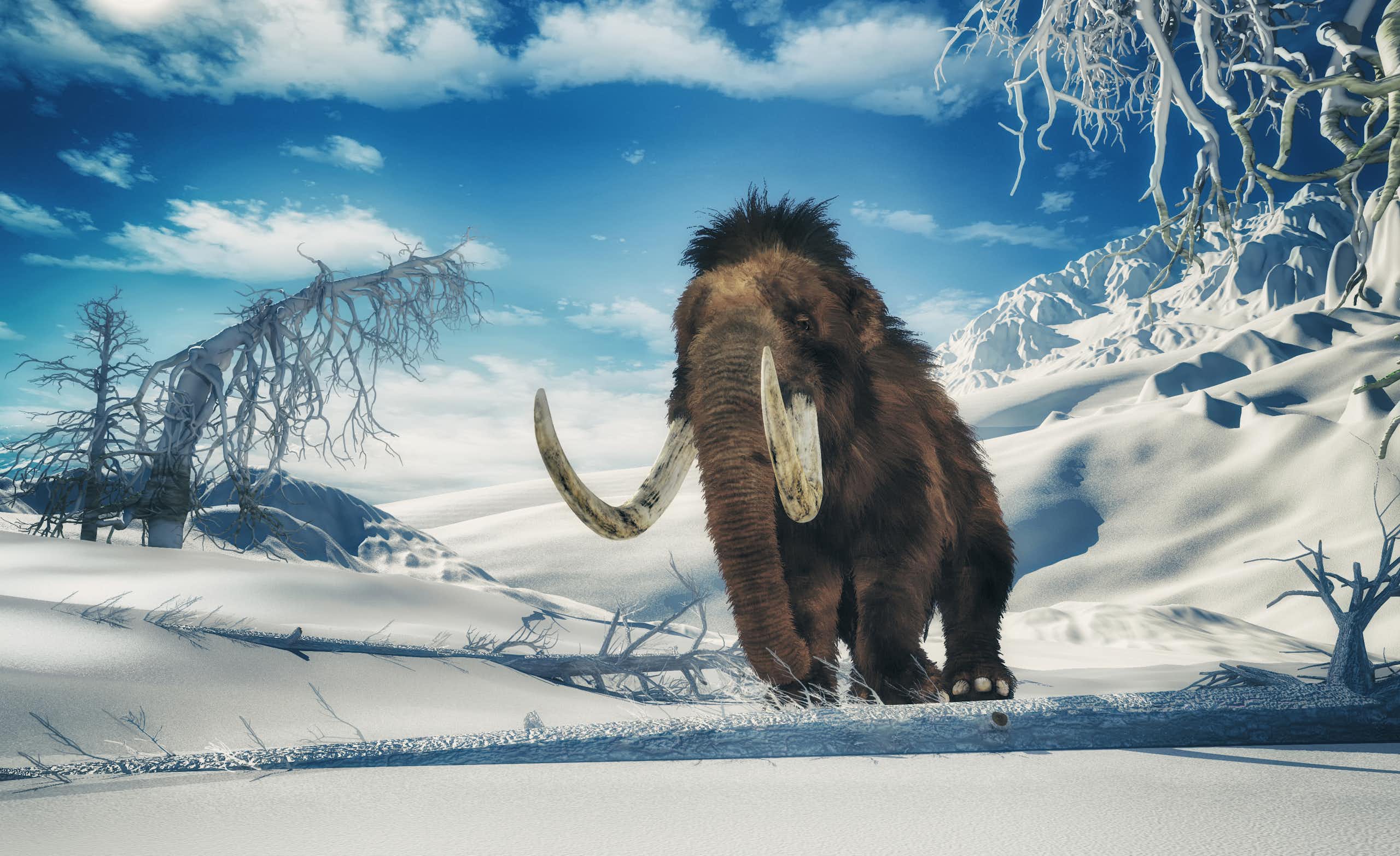 Avances hacia la desextinción del mamut