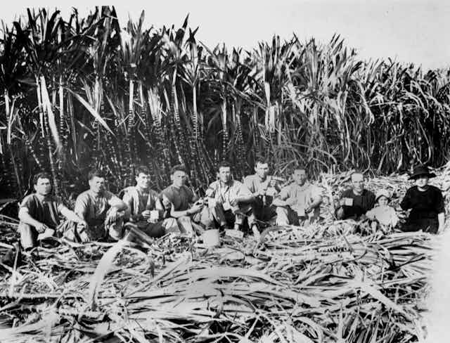 Italian cane cutters sitting in a field in Innisfail, Queensland 1923