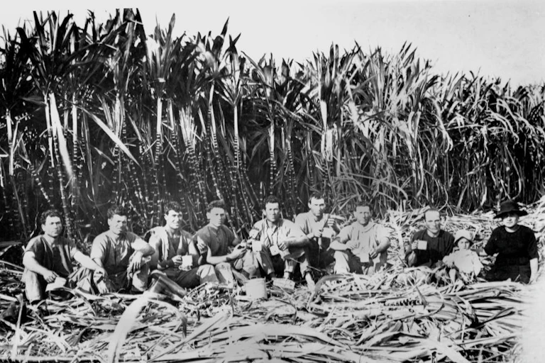 Italian cane cutters sitting in a field in Innisfail, Queensland 1923
