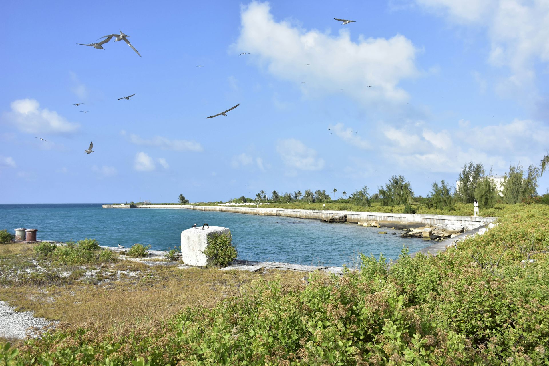 frigates fly over cove