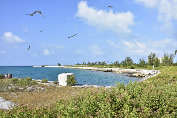 frigates fly over cove