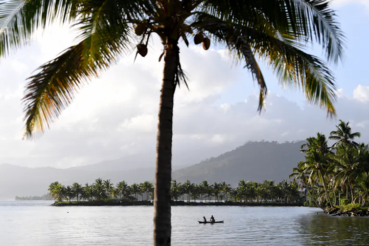 fisher boat and palm tree