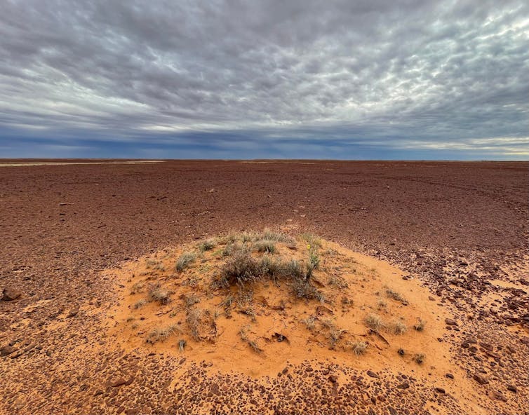 A sand mound surrounded by the stony desert gibber plain