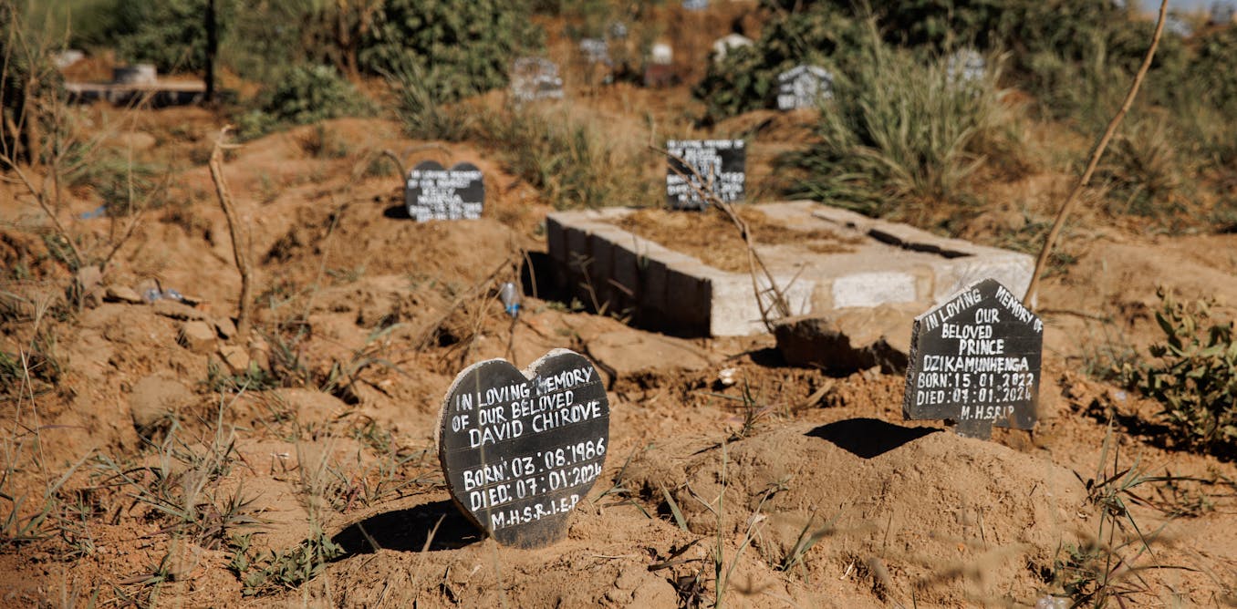 Exploring the Global Shortage of Cholera Vaccines: Only Produced by a Single Manufacturer Exploring the Global Shortage of Cholera Vaccines: Only Produced by a Single Manufacturer