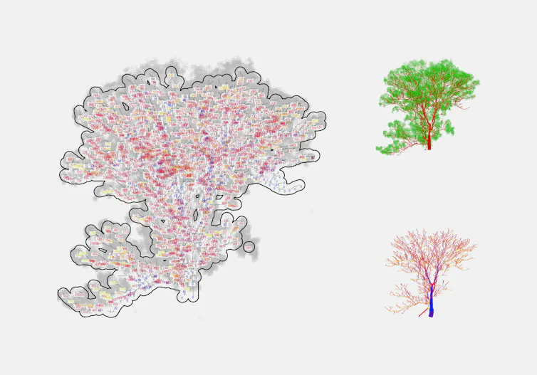 Features of trees