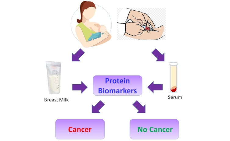 diagram showing nursing mother and breast milk bag, and a blood draw and test tube