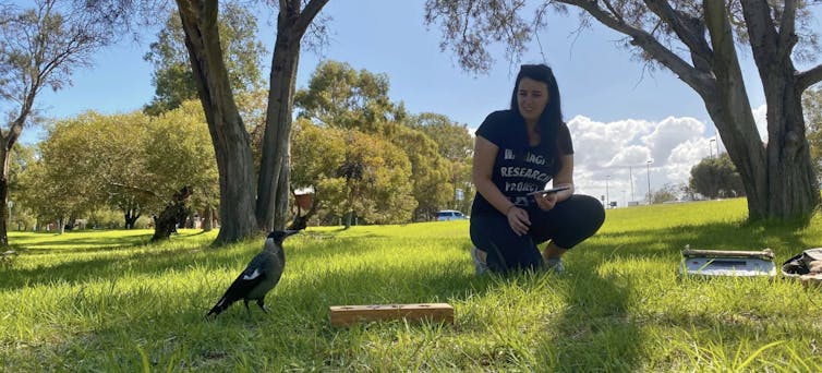 A photo of Lizzie Speechley sitting on the grass next to a fledgling magpie.