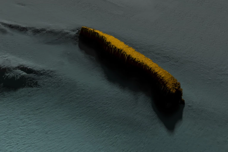 A sonar image of a shipwreck.