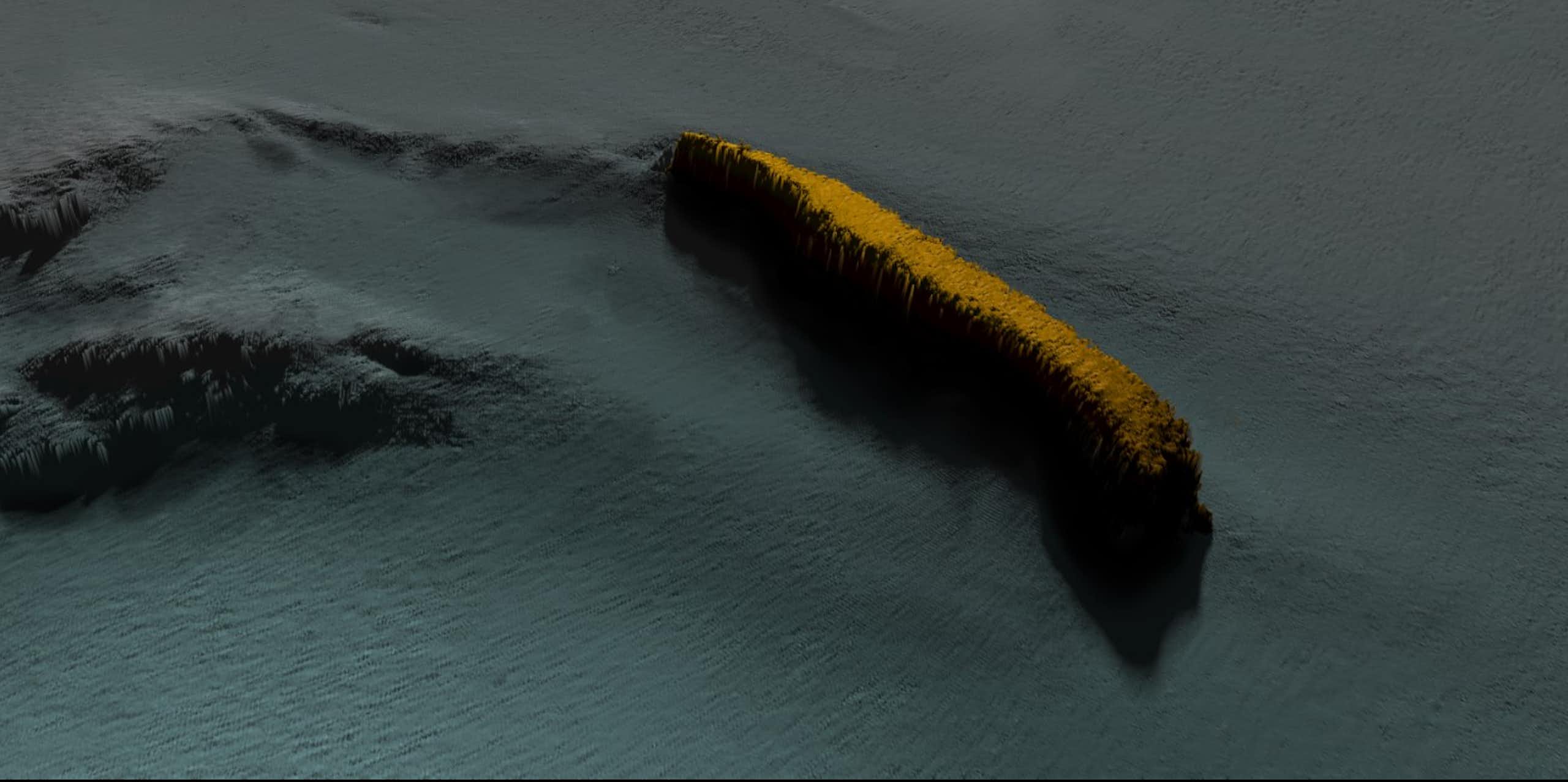 A sonar image of a shipwreck. 
