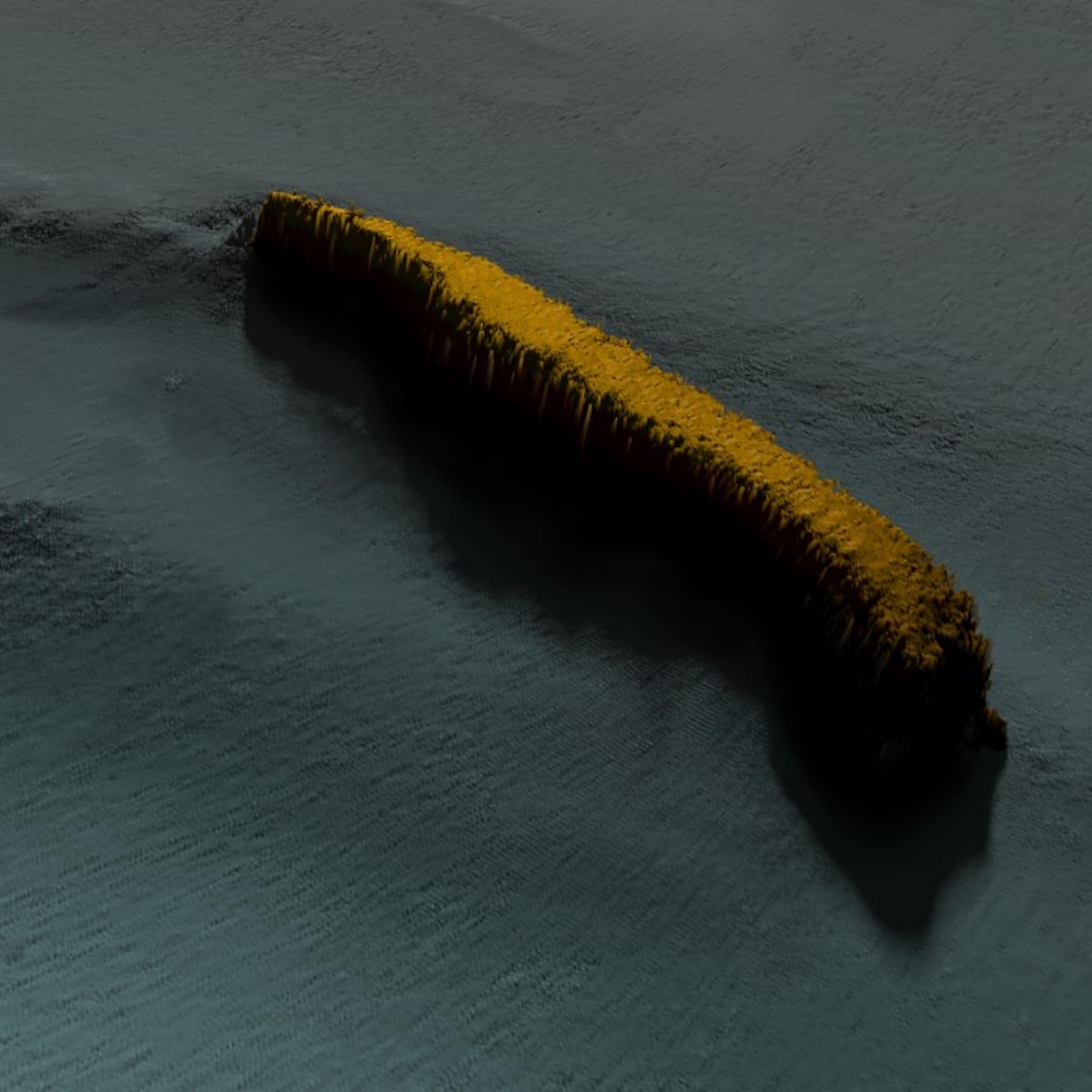 A sonar image of a shipwreck. 