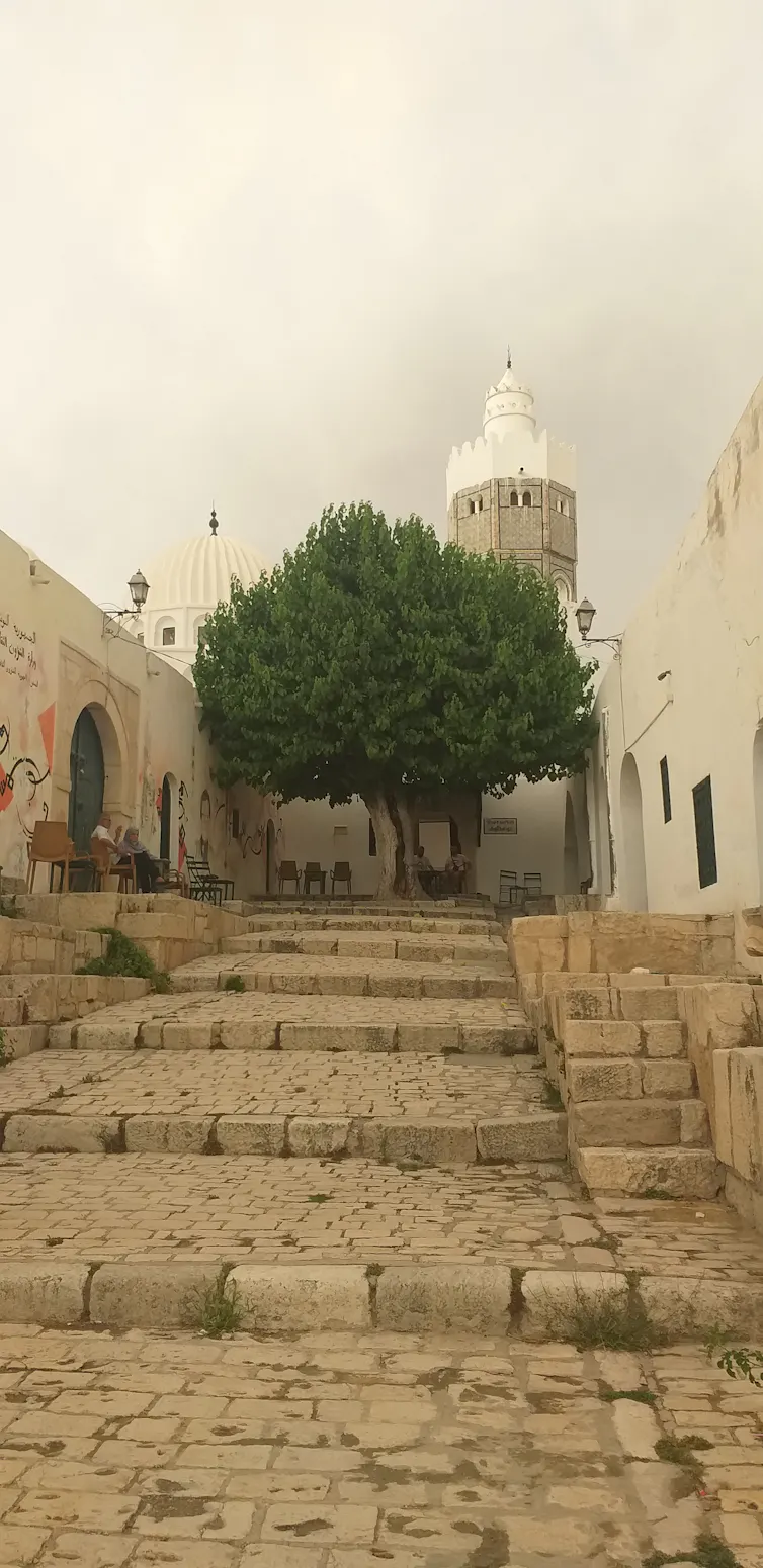 Une cour avec un grand arbre au milieu de vieux bâtiments.