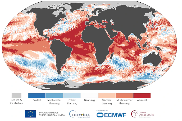 Gráfico com mapa mundi indicando os graus de anomalias de temperatura de superfície dos oceanos