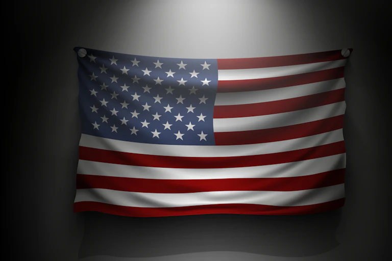 A US flag in a strong shadow.