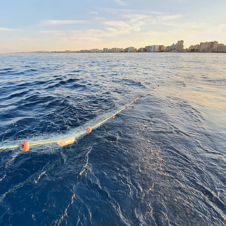 Shot of fishing net floating on surface of blue ocean, glimpse of land in background