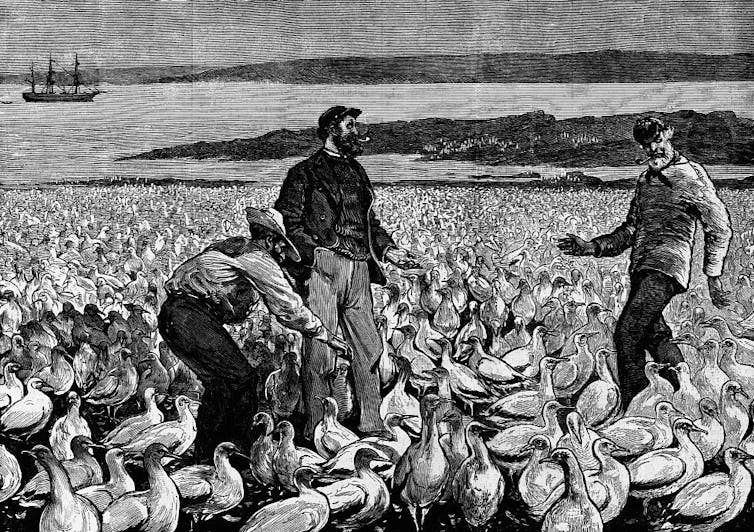 A pencil drawing of two men standing in a sea of birds.