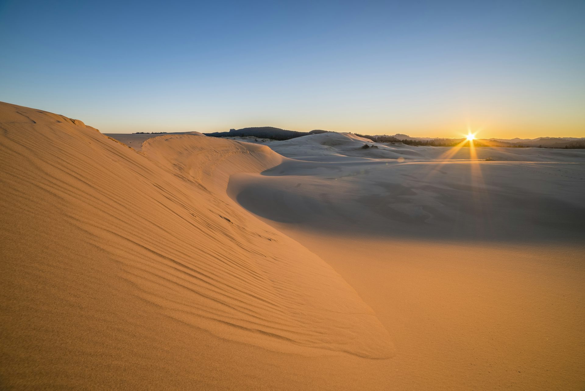 How Dune became a beacon for the fledgling environmental movement and a rallying cry for the new science of ecology Ogle County Life