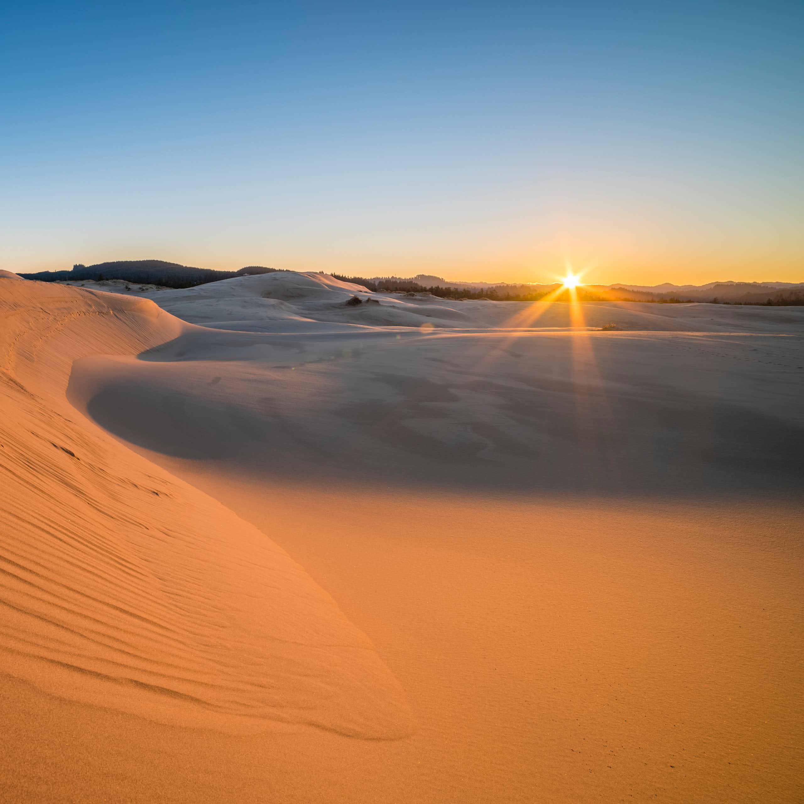 Sand dunes at sunset.
