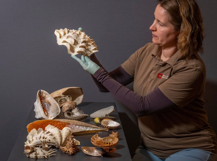 A woman holds up shells.