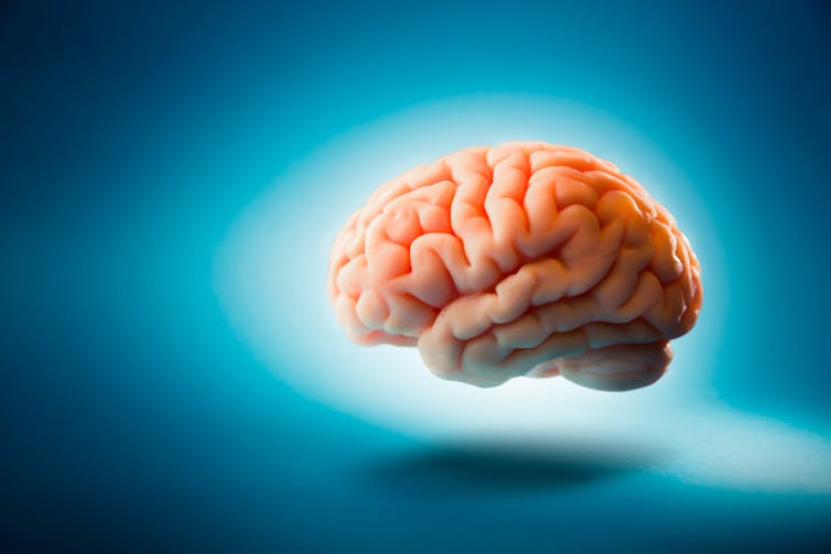 A digital rendering of the human brain.