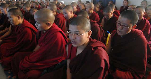 Female monks dressed in maroon robes, seated in rows.