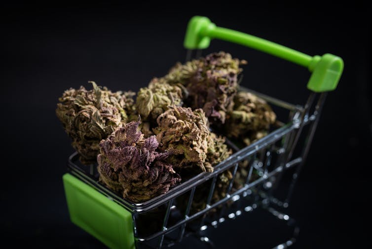 Cannabis buds in a miniature toy shopping cart