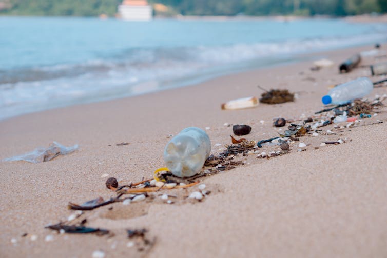 Plastic bottles washed up on a beach.