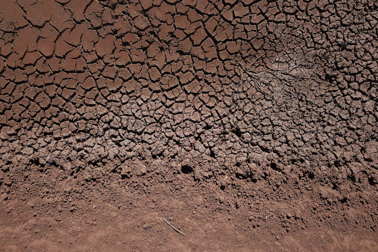 cracked earth