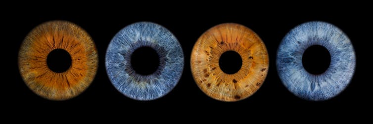 close ups of four eye irises, showing different colours and patterns