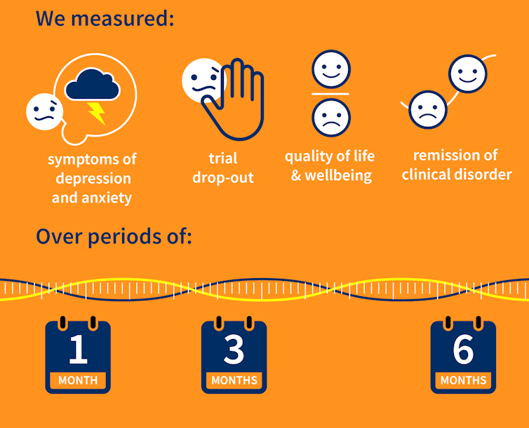 An infographic depicting what the researchers measured in the review.