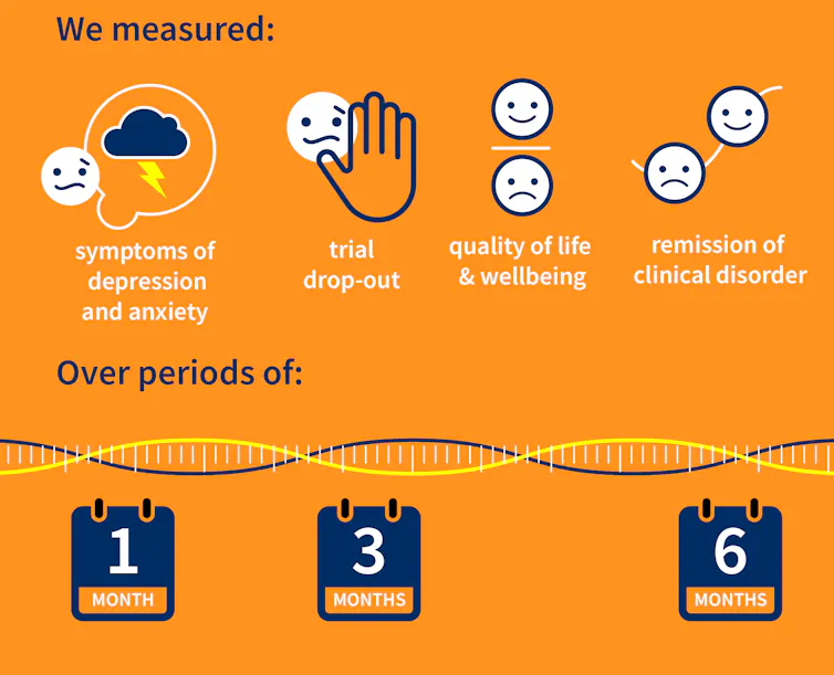 An infographic depicting what the researchers measured in the review.