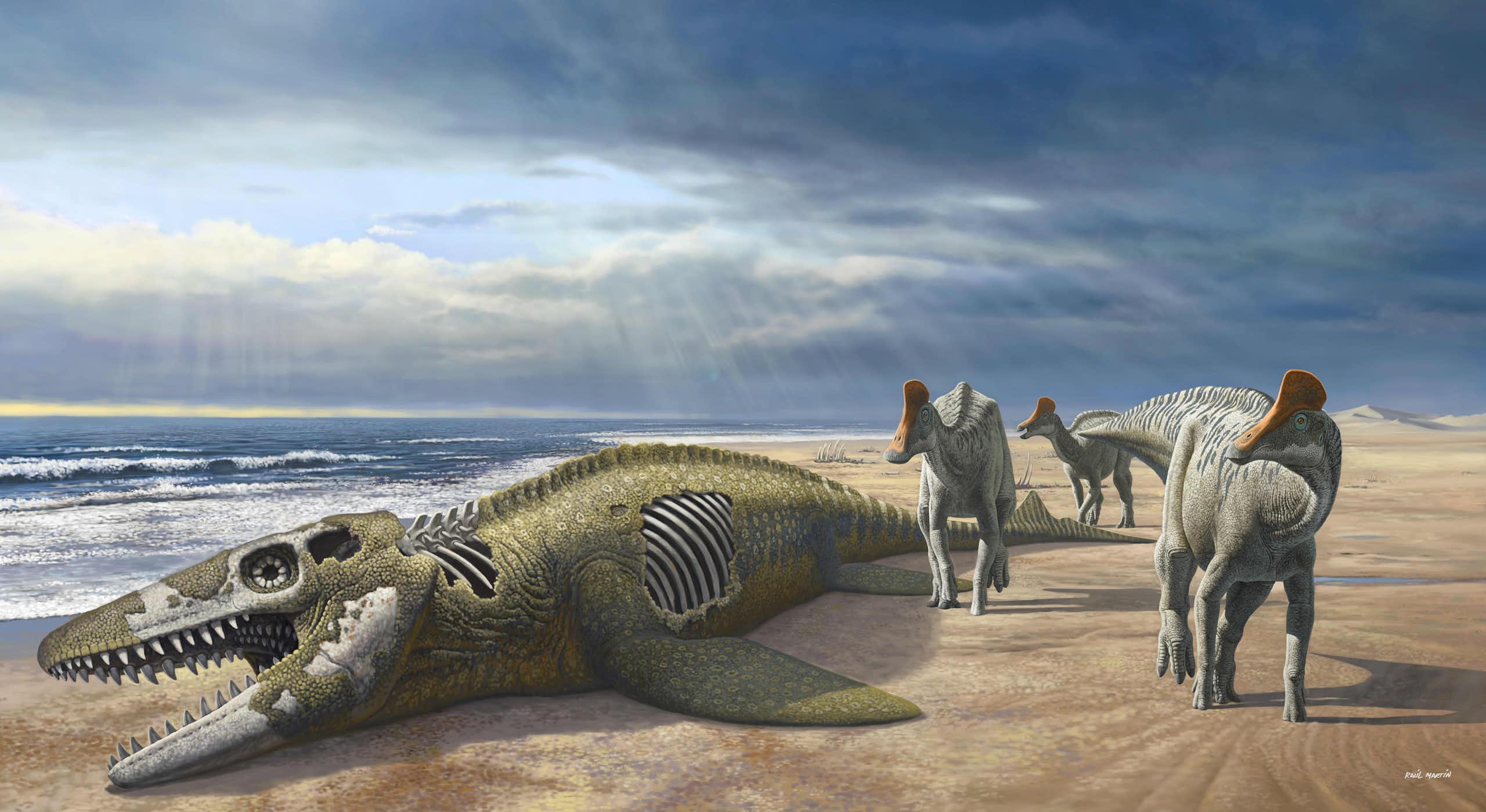 Artist's illustration of three dinosaurs walking along a shore; another larger creature lies dead 