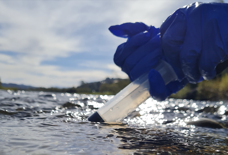 A close-up of someone taking a sample of river water.
