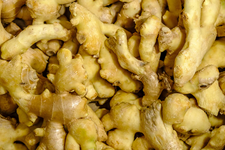 Ginger roots on display