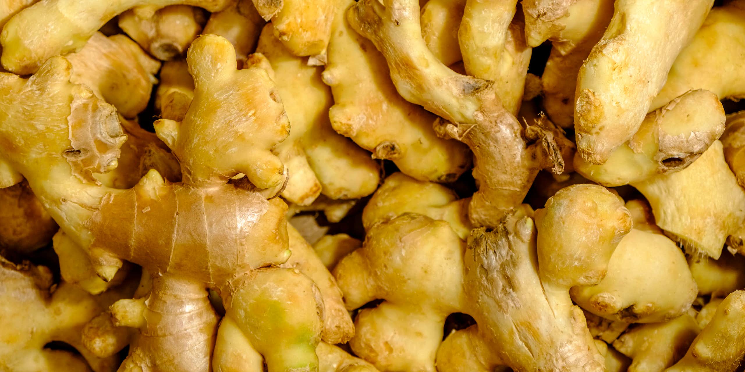 Ginger roots on display