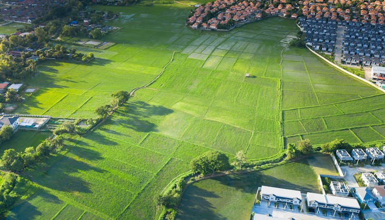 A bird's eye view of green fields adjacent to a built-up area.