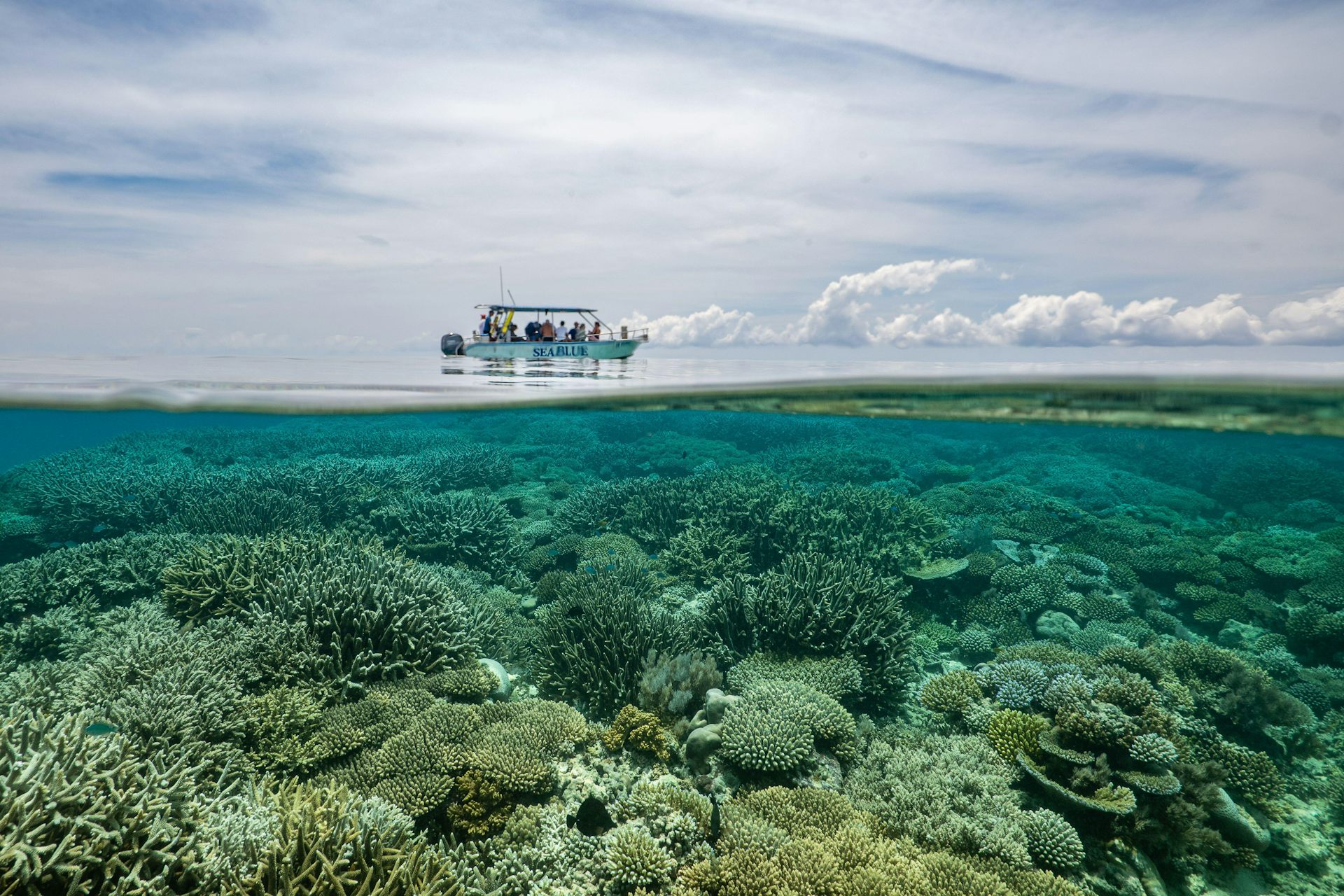 A diving boat on the horizon and an underwater glimpse of a coral reef.