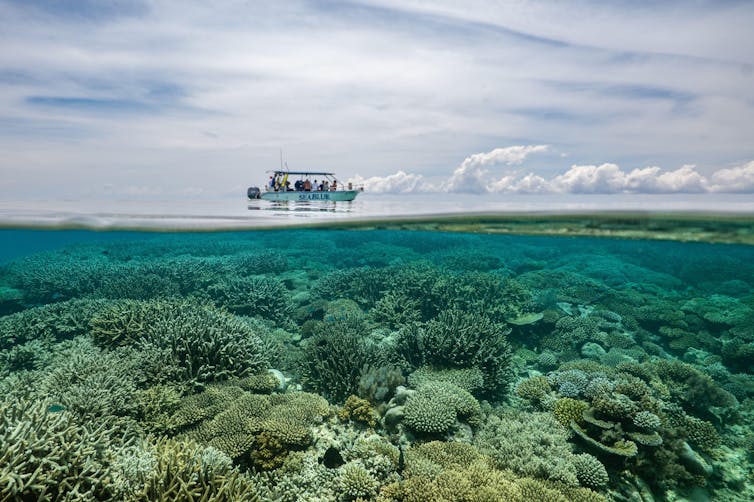 A diving boat on the horizon and an underwater glimpse of a coral reef.