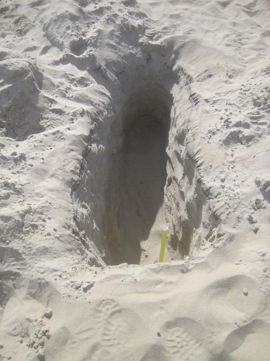 Cause holes. Cause holes. Cause holes. Cause holes. Cause holes.