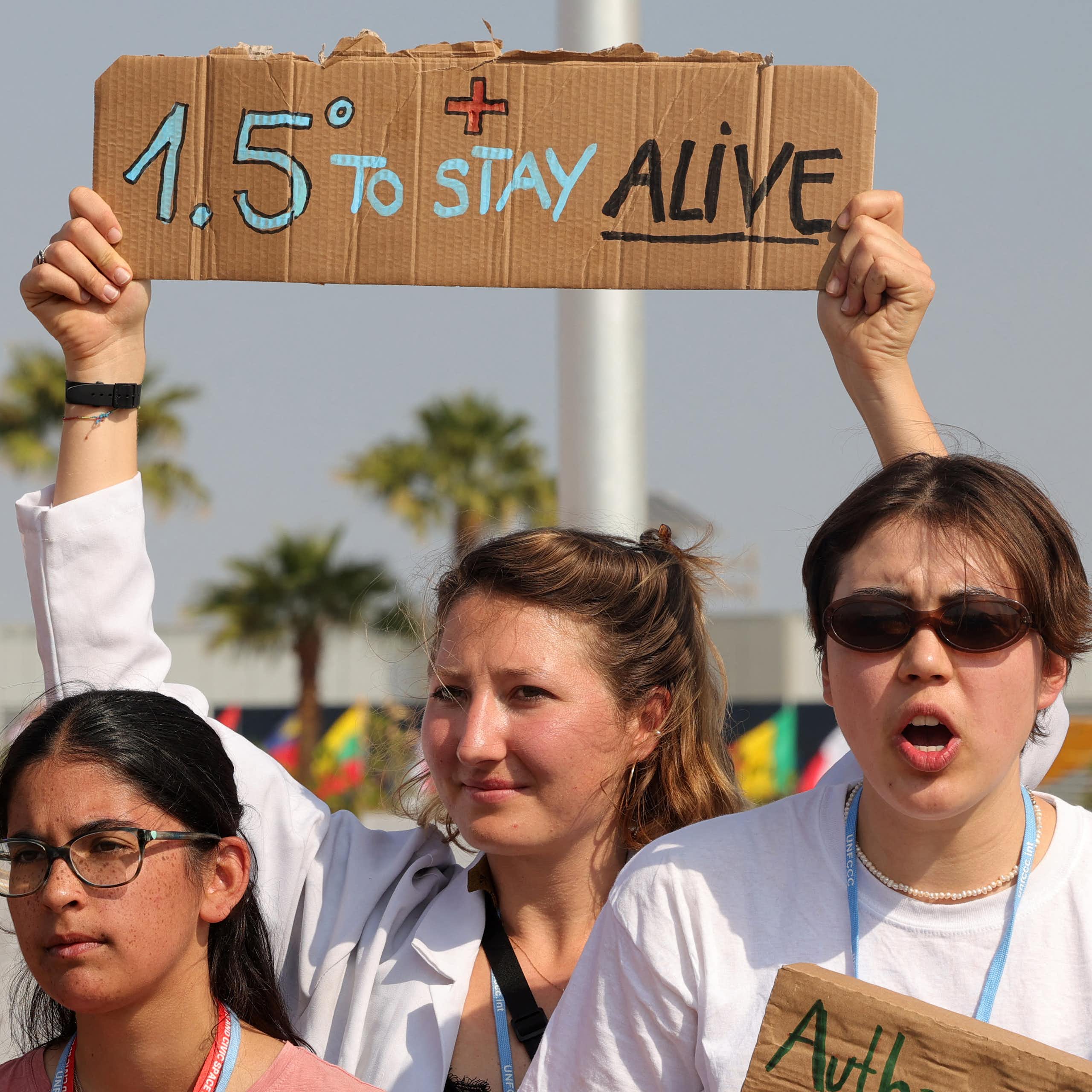 Climat : les jeunes manifestants peuvent-ils encore peser sur les négociations pendant les COP ?