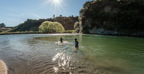 We need faster, better ways to monitor NZ’s declining river health – using environmental DNA can help