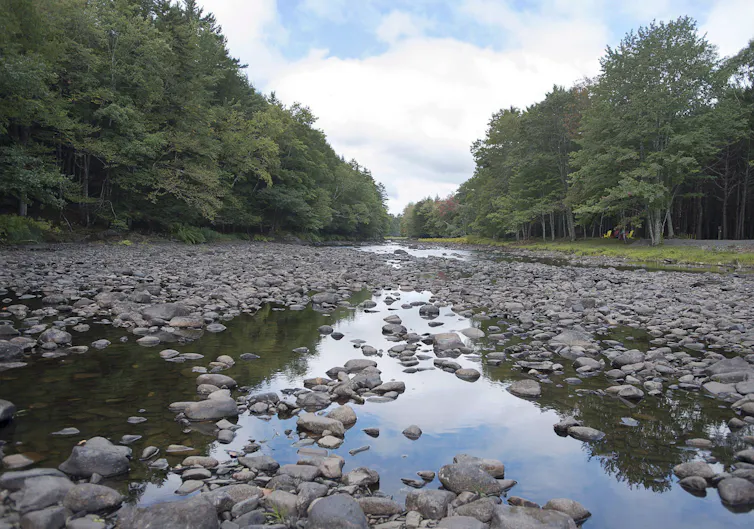 A shallow pool of water is seen in a dry river bed.