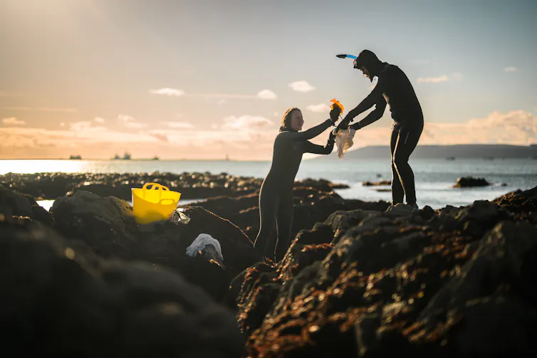rocky shoreline, sea in background, two people in black wetsuits collecting kelp seaweed, yellow bucket on rocks