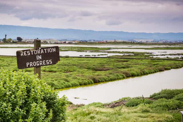 Restoration sign in the wetlands in Alviso Marsh, Don Edwards wildlife refuge, south San Francisco bay, California