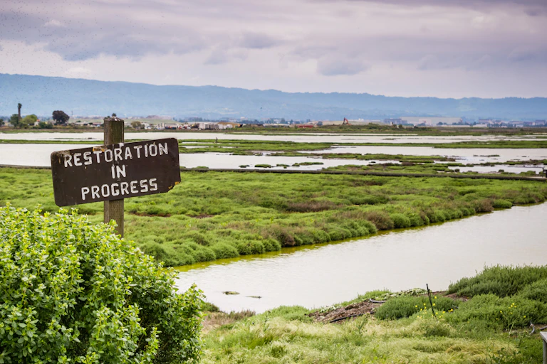 Restoration sign in the wetlands in Alviso Marsh, Don Edwards wildlife refuge, south San Francisco bay, California