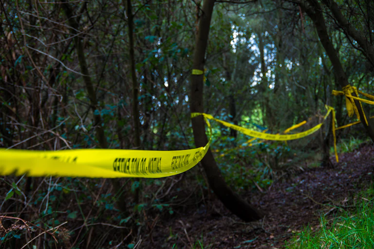 A yellow caution tape runs through a forest scene.