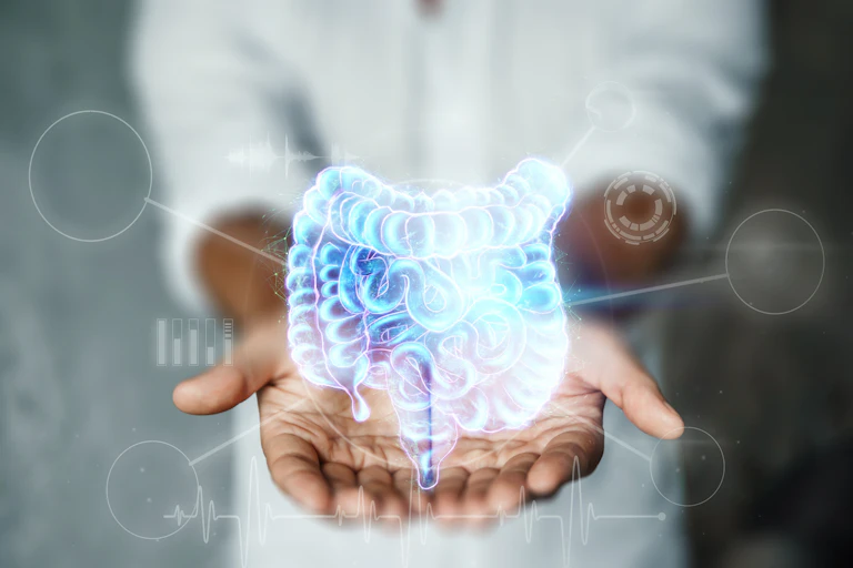 An illustration of intestines superimposed over a person's hands