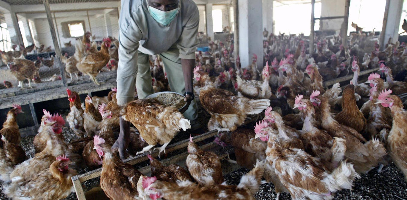 Title: Understanding, Preventing, and Managing the Spread of an Infectious Disease Title: Understanding, Preventing, and Managing the Spread of an Infectious Disease