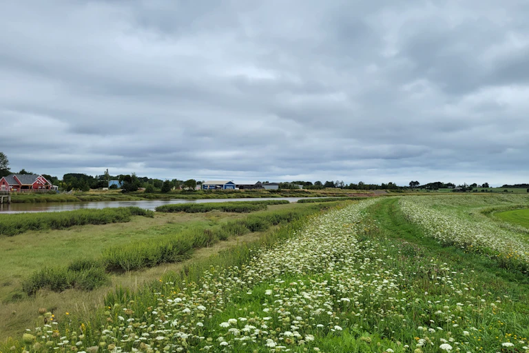 A grassy plain is seen next to a small body of water.