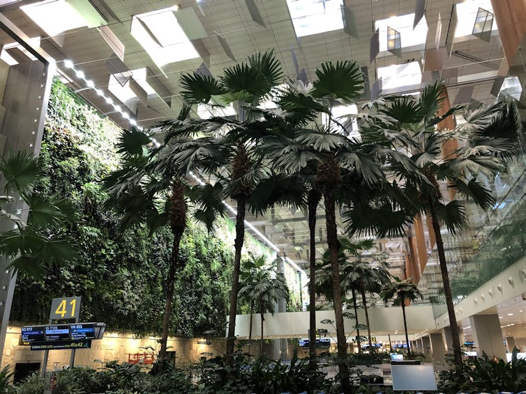 Internal area of a building with lots of greenery and skylight windows