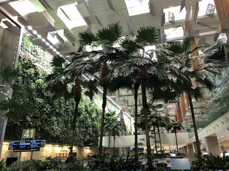 Internal area of a building with lots of greenery and skylight windows